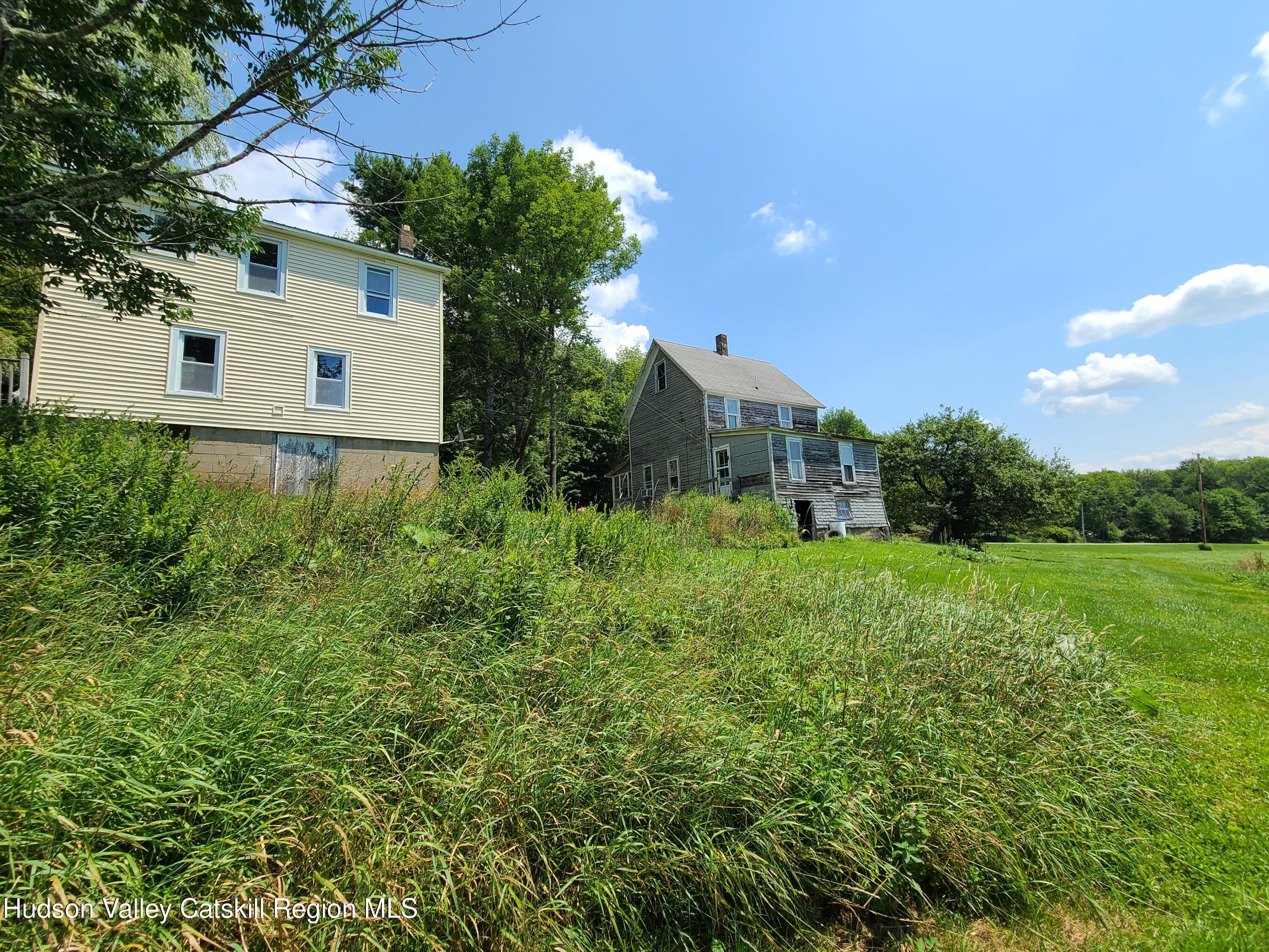 301 Stump Pond Road Livingston Manor, NY 12758 - Photo 8 of 49 a backyard of a house with lots of green space