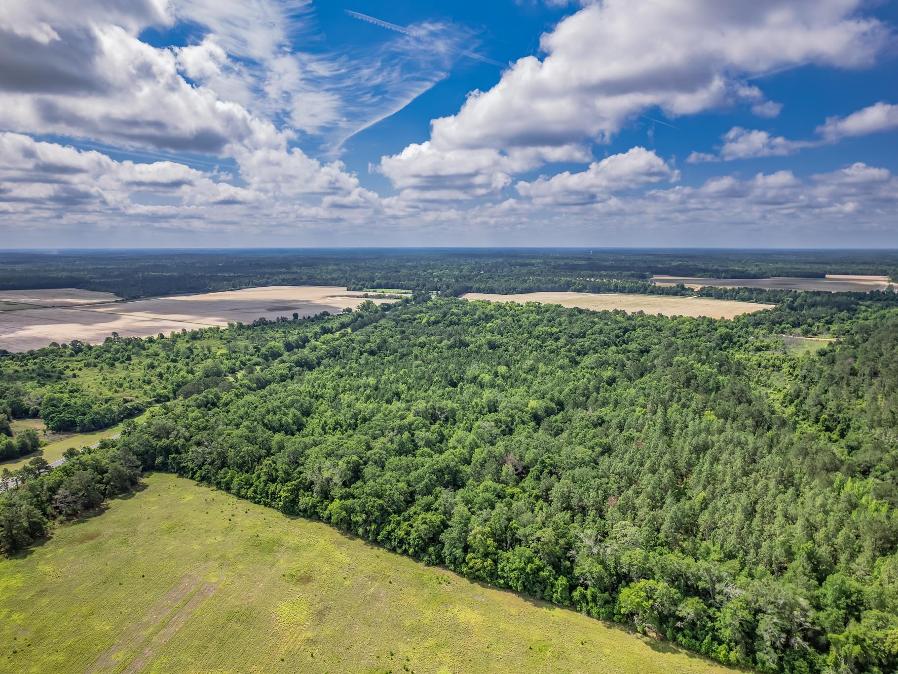 Xx Xx Hough Farm Road Quincy, FL 32351 - Photo 13 of 13