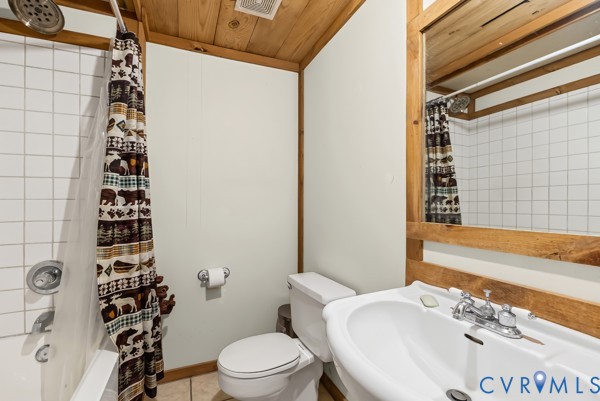 2371 Cedar Bend Road Appomattox, VA 24522 - Photo 42 of 50 a bathroom with a sink a toilet and shower