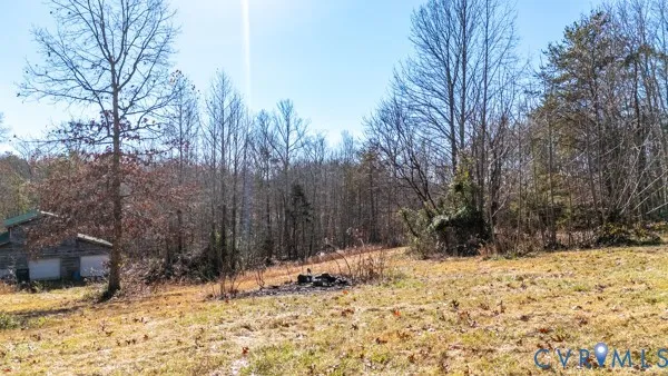 a view of a yard with plants and trees