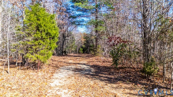 2371 Cedar Bend Road Appomattox, VA 24522 - Photo 48 of 50 a view of a yard with plants and trees
