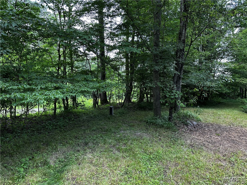 6659 Cross Road Great Valley, NY 14741 - Photo 11 of 50