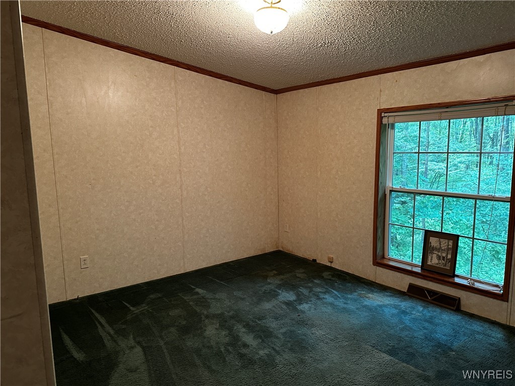 6659 Cross Road Great Valley, NY 14741 - Photo 37 of 50