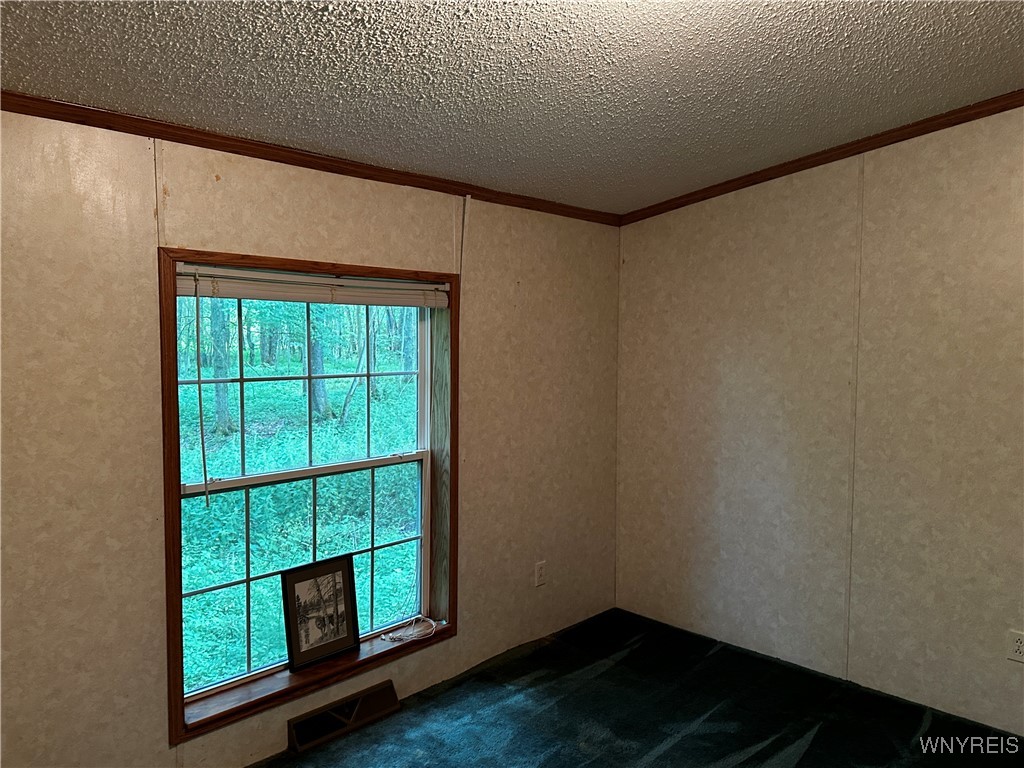 6659 Cross Road Great Valley, NY 14741 - Photo 39 of 50