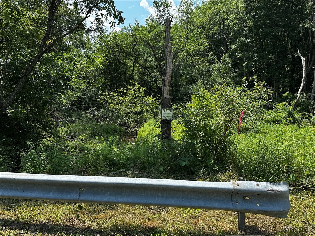 6659 Cross Road Great Valley, NY 14741 - Photo 46 of 50