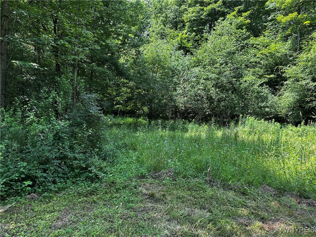 6659 Cross Road Great Valley, NY 14741 - Photo 47 of 50