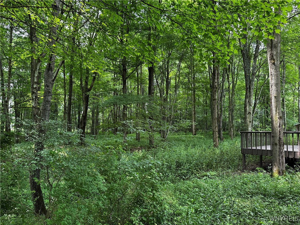 6659 Cross Road Great Valley, NY 14741 - Photo 48 of 50