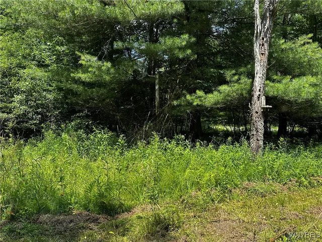 $145,444 | 6659 Cross Road, Great Valley, NY 14741