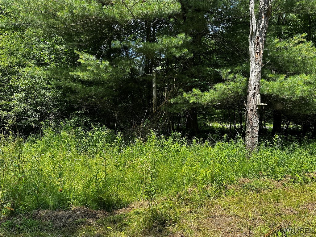 6659 Cross Road Great Valley, NY 14741 - Photo 9 of 50