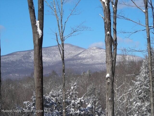 1206 County Road 2 Olivebridge, NY 12461 - Photo 22 of 27 thumbnail_Wonder Dog 012