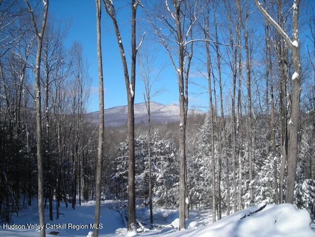 1206 County Road 2 Olivebridge, NY 12461 - Photo 23 of 27 thumbnail_Wonder Dog 011