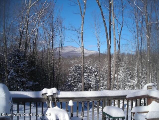 1206 County Road 2 Olivebridge, NY 12461 - Photo 24 of 27 thumbnail_Wonder Dog 003