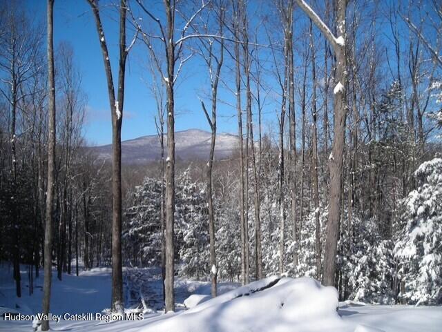 1206 County Road 2 Olivebridge, NY 12461 - Photo 25 of 27 thumbnail_Wonder Dog 010