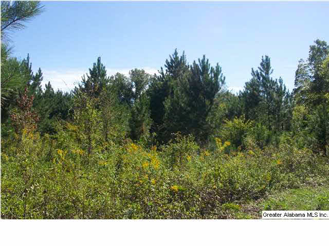 11 Highway Acs Al, Unit 40 Springville, AL 35146 - Photo 8 of 8