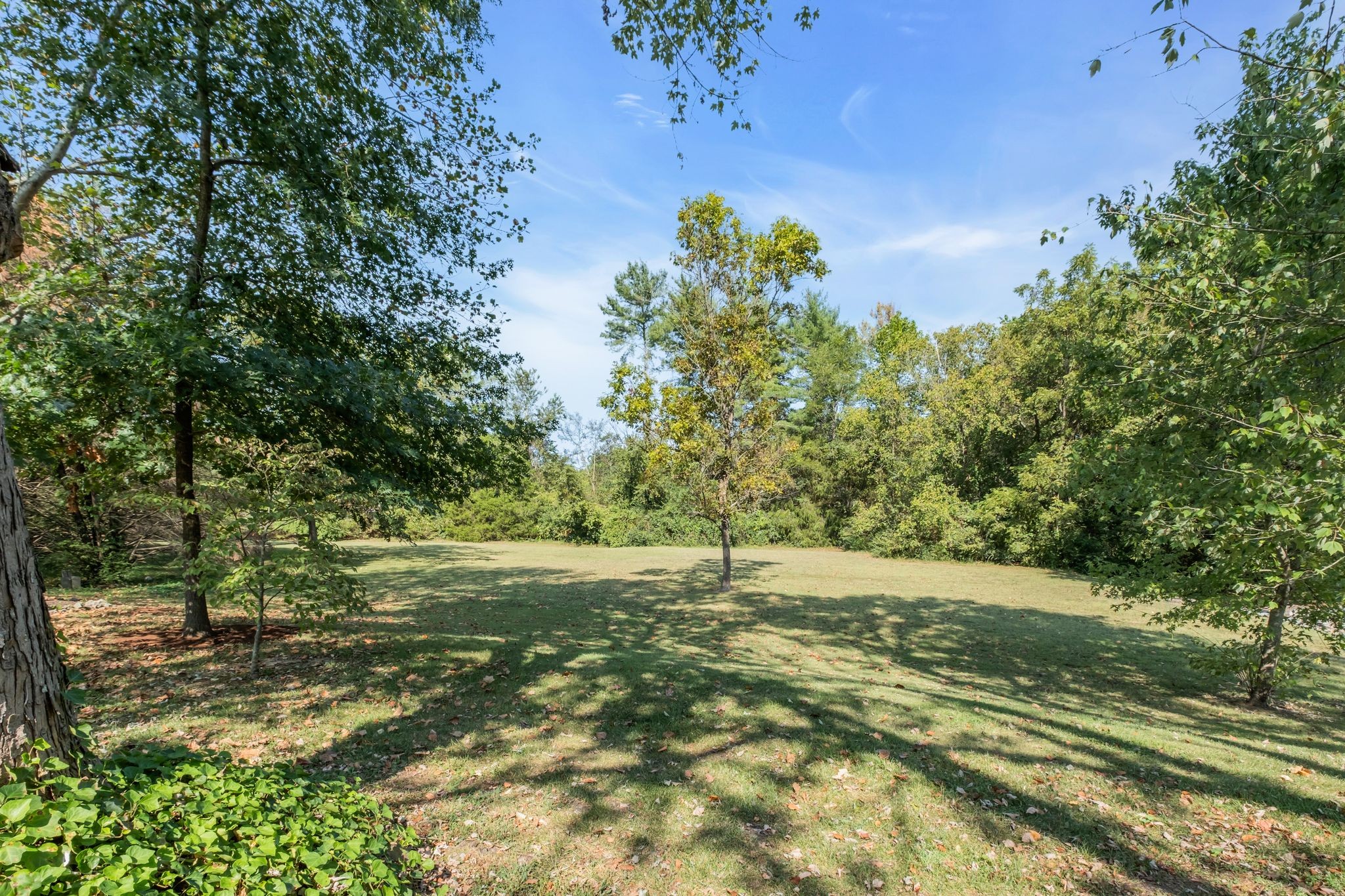 168 Cottonwood Drive Franklin, TN 37069 - Photo 39 of 39