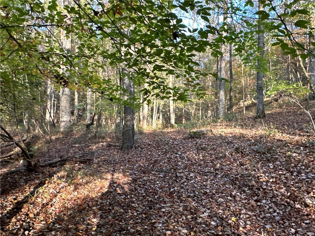 1806 Browning Road Rockmart, GA 30153 - Photo 43 of 97