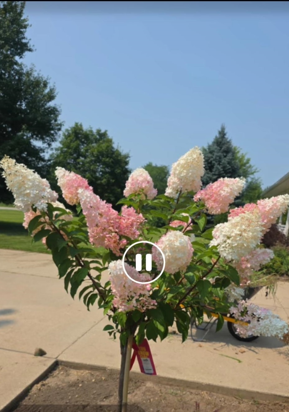 W630 Golf Course Road Brodhead, WI 53520 - Photo 36 of 39