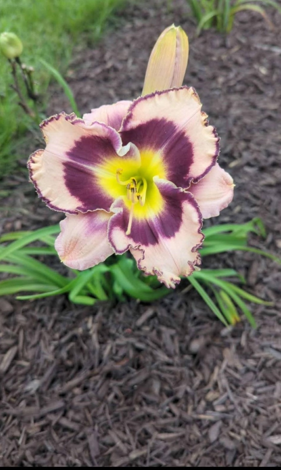 W630 Golf Course Road Brodhead, WI 53520 - Photo 37 of 39