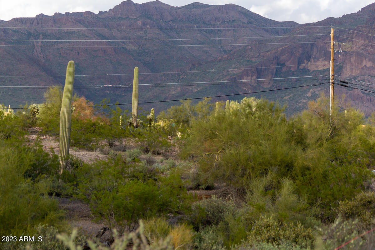 0 South Kings Ranch Road, Unit 3A Gold Canyon, AZ 85118 - Photo 28 of 46 DSC09406