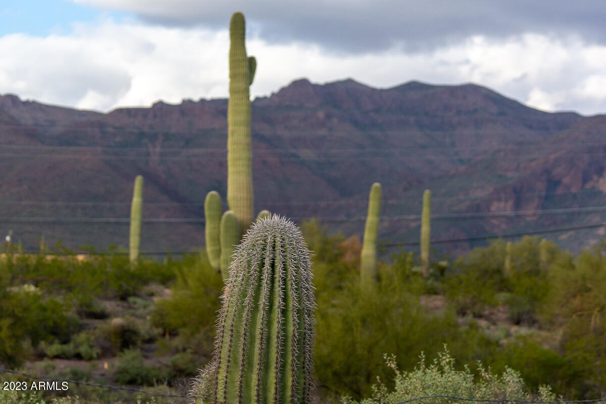 0 South Kings Ranch Road, Unit 3A Gold Canyon, AZ 85118 - Photo 31 of 46 DSC09409