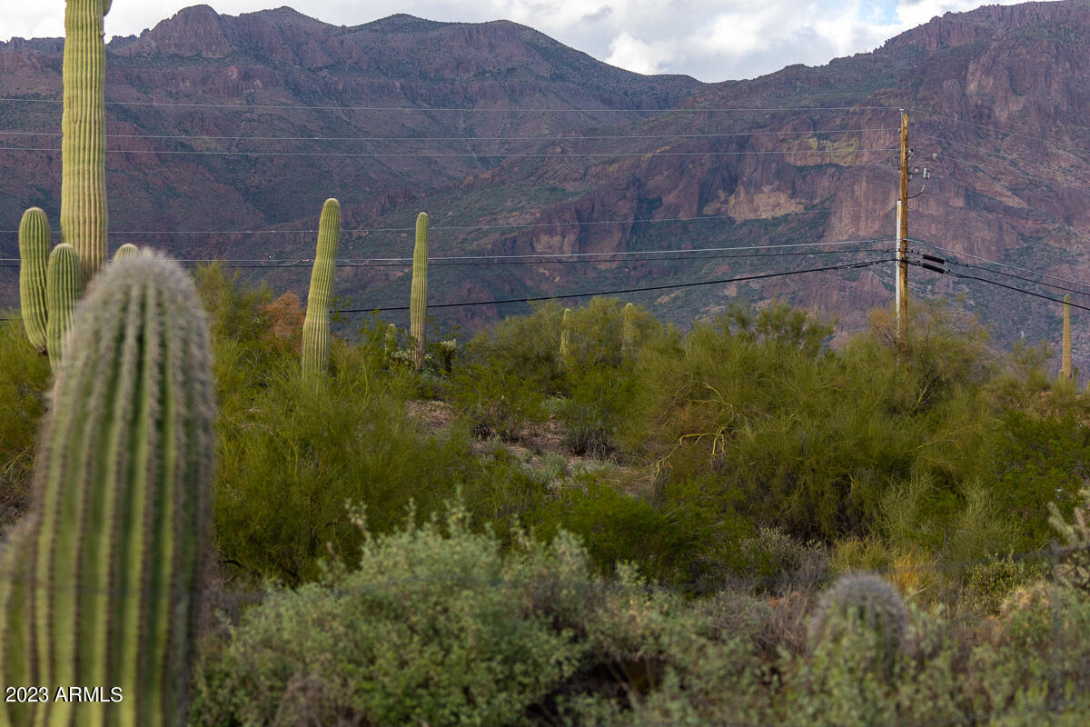 0 South Kings Ranch Road, Unit 3A Gold Canyon, AZ 85118 - Photo 32 of 46 DSC09410