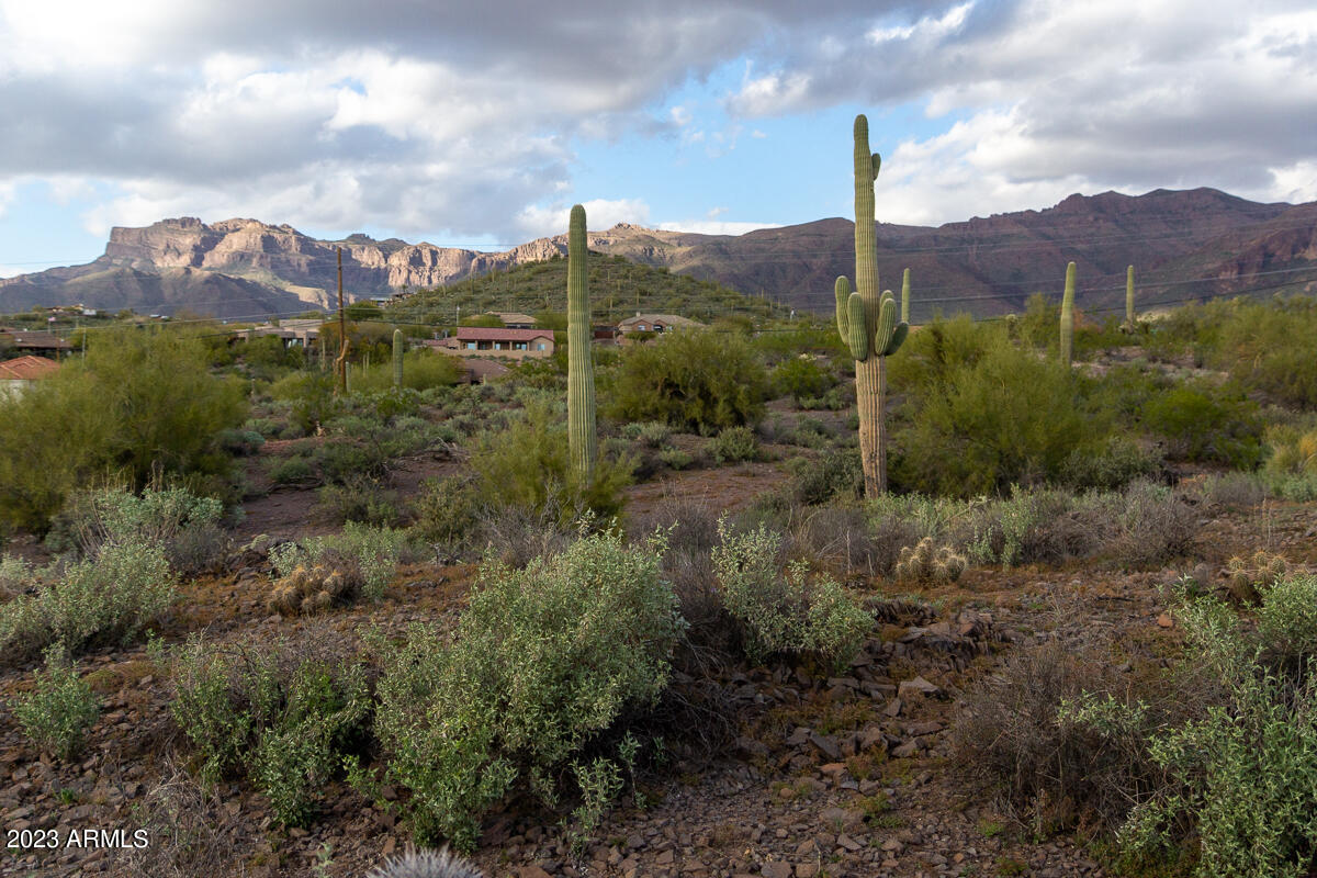 0 South Kings Ranch Road, Unit 3A Gold Canyon, AZ 85118 - Photo 34 of 46 DSC09412