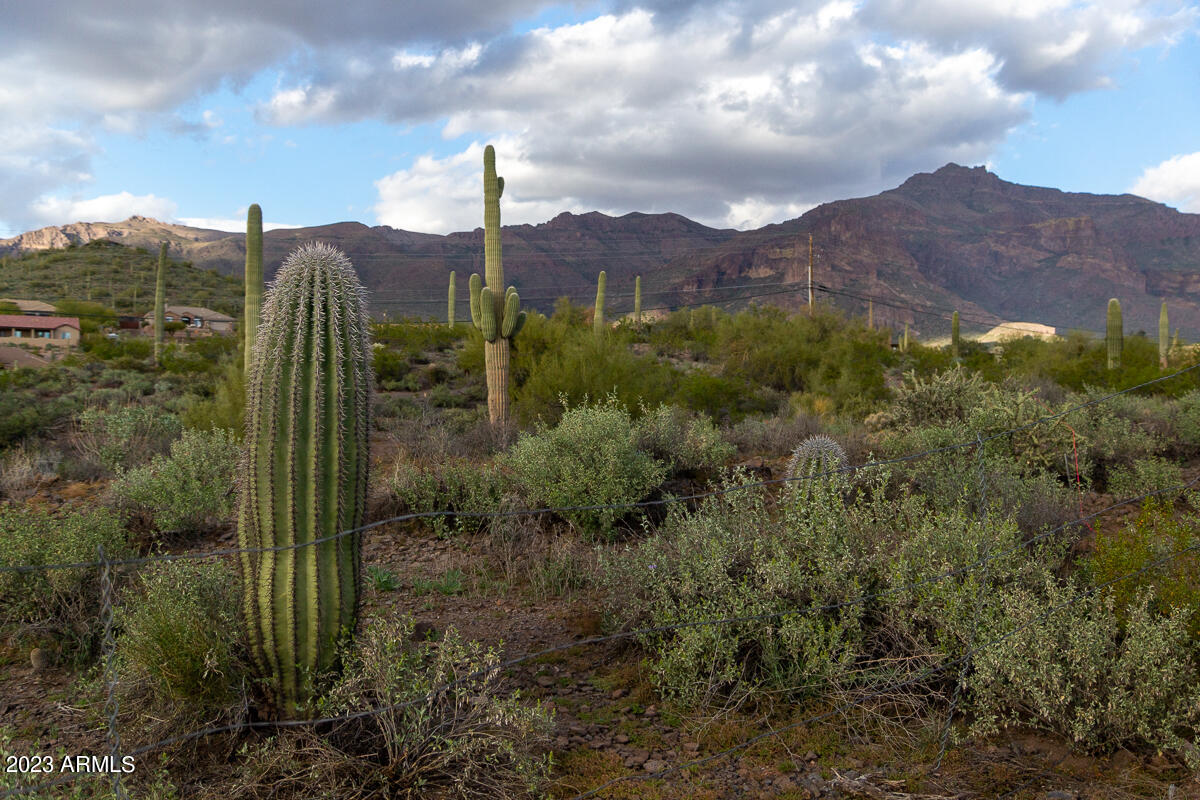 0 South Kings Ranch Road, Unit 3A Gold Canyon, AZ 85118 - Photo 35 of 46 DSC09413