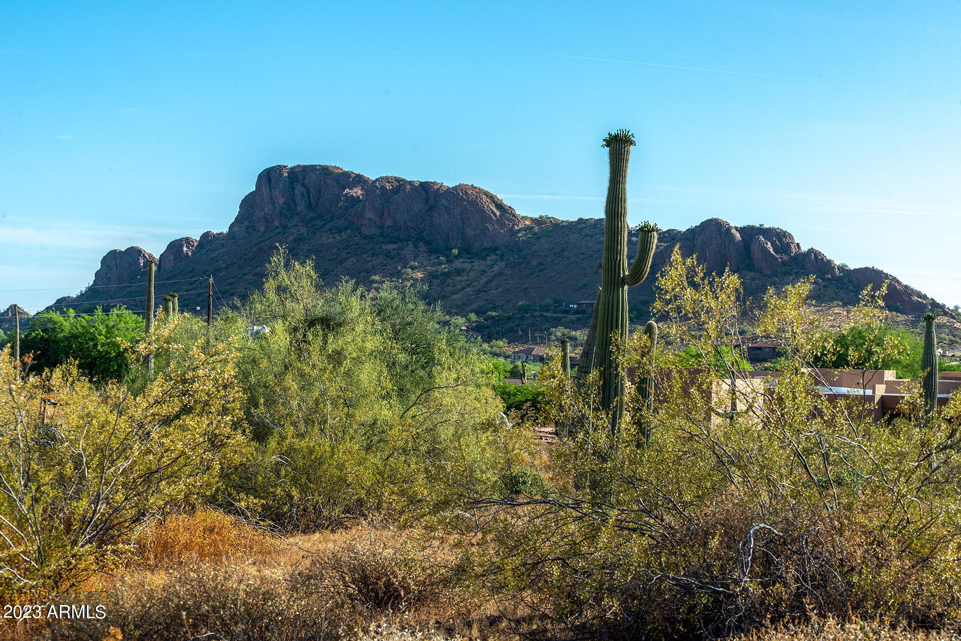 0 South Kings Ranch Road, Unit 3A Gold Canyon, AZ 85118 - Photo 7 of 46 DSC_8035