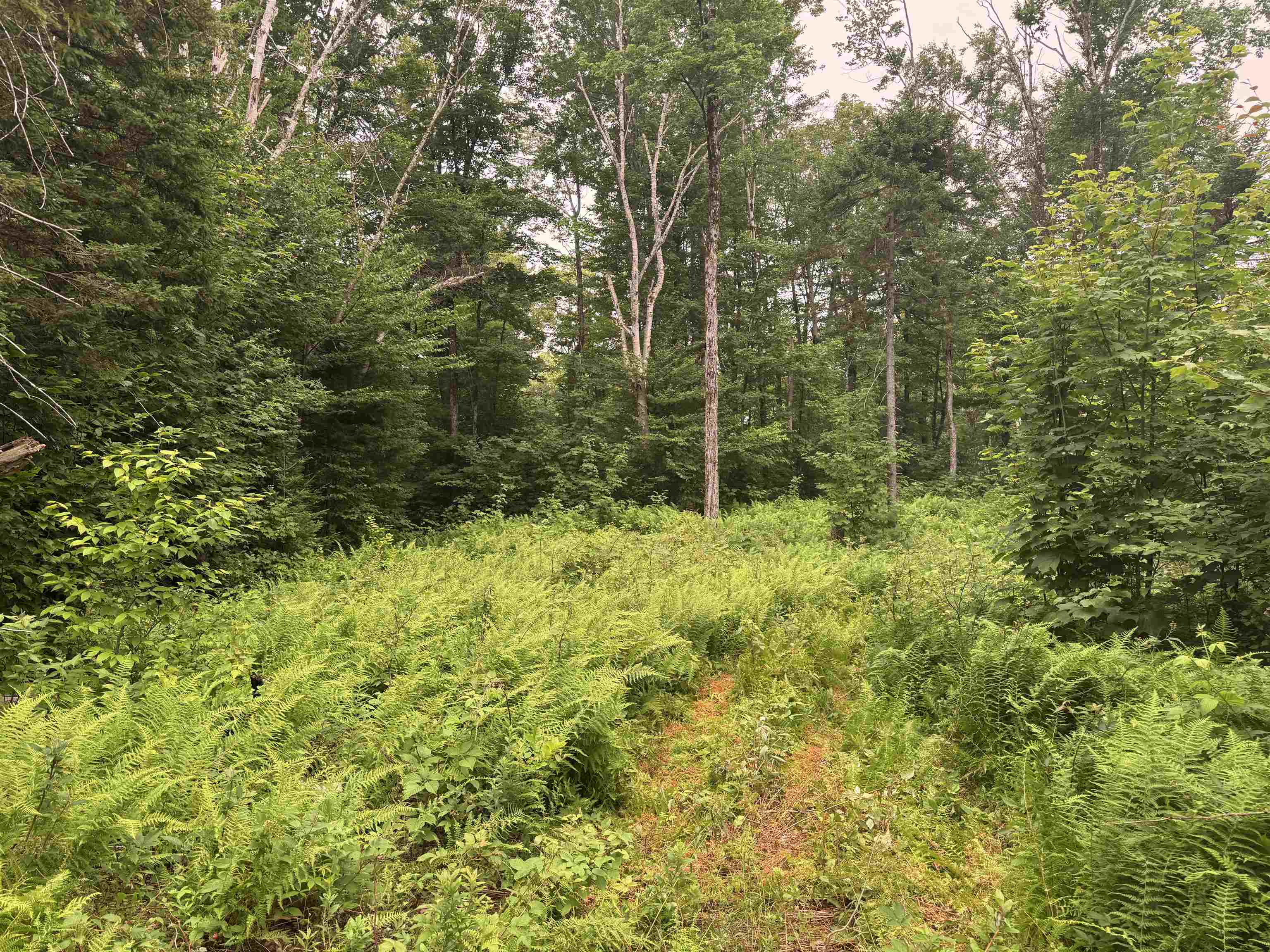 185 Valley View Road West Dover, VT 05356 - Photo 22 of 30