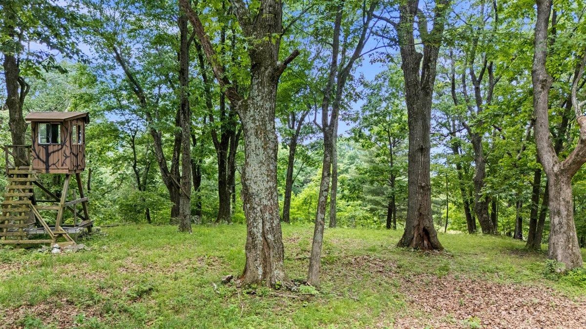 Lot 19-20 Hidden Hill Road Stanley, VA 22851 - Photo 19 of 20