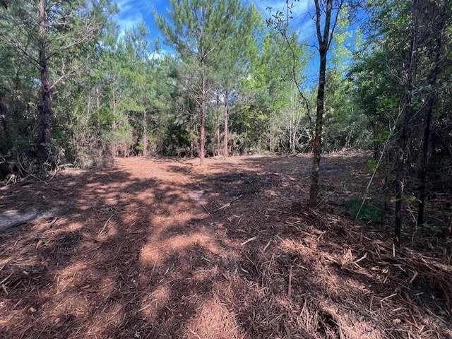 3-ac Laird Road Florala, AL 36442 - Photo 4 of 21 Gallery Image 4