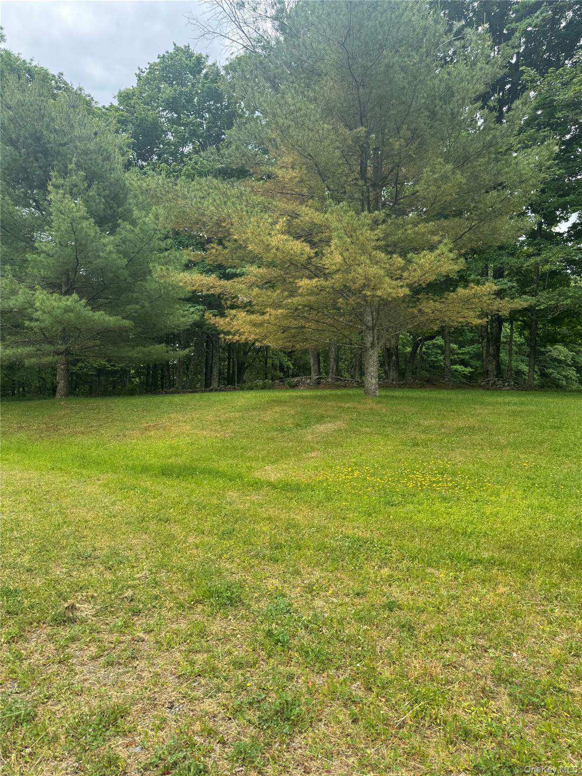 742 Lenape Lake Road Livingston Manor, NY 12758 - Photo 13 of 42