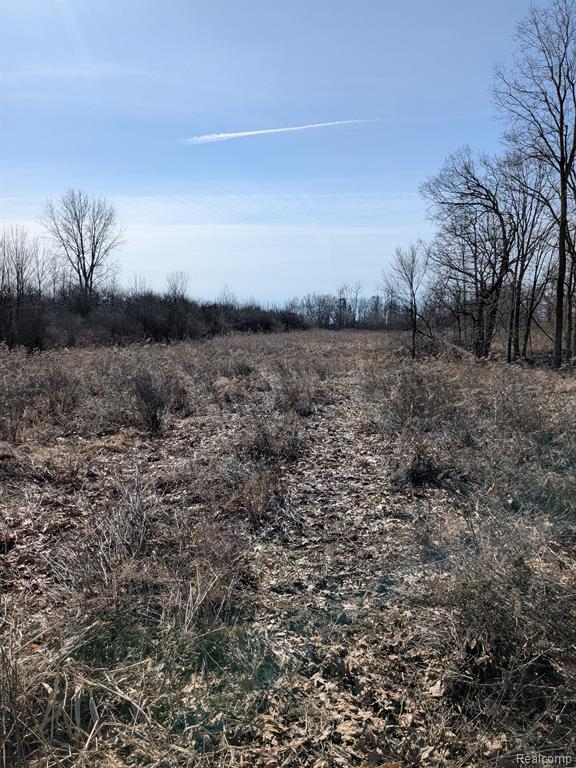 0 Oregon Road Lapeer, MI 48446 - Photo 5 of 7
