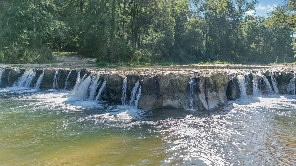 524 Jones White Road Centreville, MS 39631 - Photo 33 of 54 Photo 33