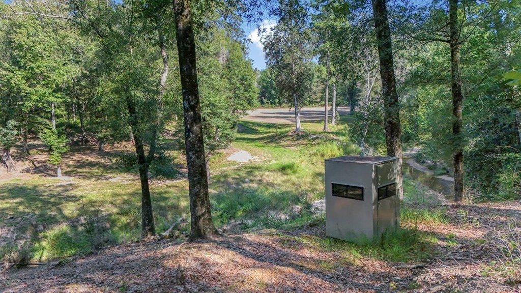 524 Jones White Road Centreville, MS 39631 - Photo 39 of 54 Photo 39