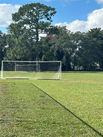 a view of a tennis court with a large tree