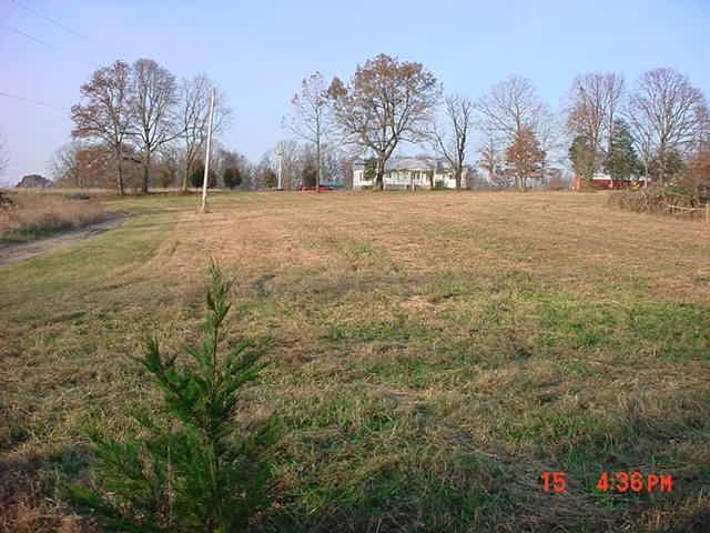 186 Roberts Road Portland, TN 37148 - Photo 7 of 20 a view of road with large trees