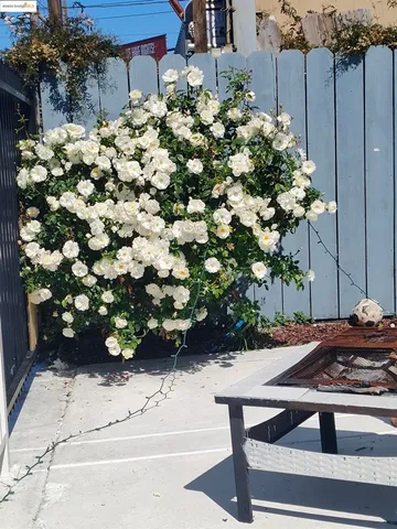 $3,000 | 3532 San Leandro Street, Unit L, Oakland, CA 94601