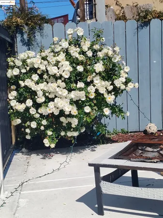 a view of a parking area