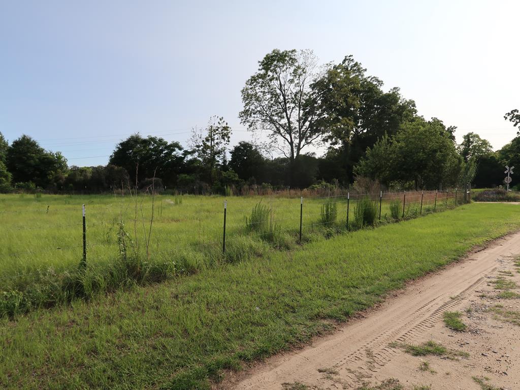 0 East Columbia Road Newville, AL 36353 - Photo 7 of 15