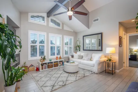 a living room with furniture and a potted plant