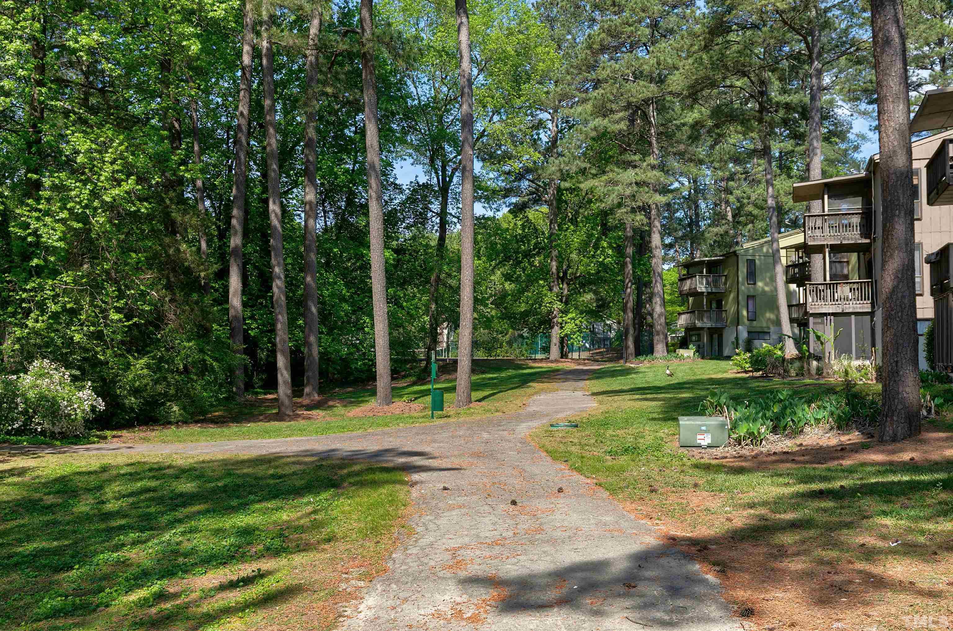 541 Pine Ridge Place, Unit 541 Raleigh, NC 27609 - Photo 21 of 21 a backyard of a building and trees