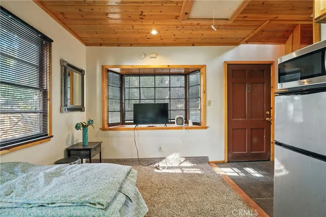 a plant that is in a garden