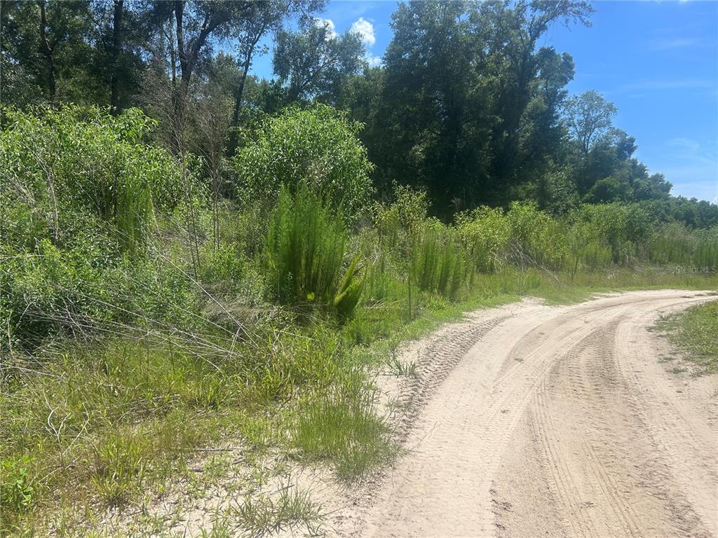 4598 East Jay Street Inverness, FL 34453 - Photo 1 of 2