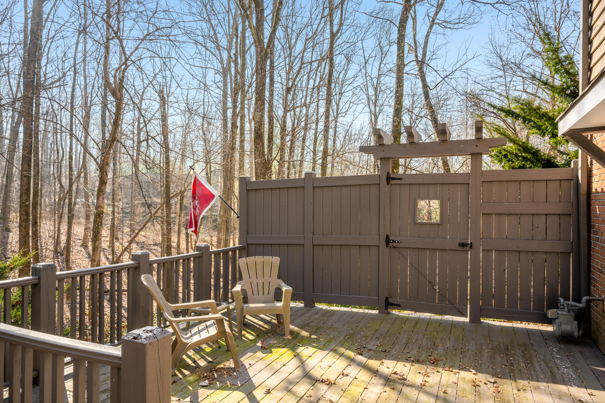 4 Jane Cove Road Signal Mountain, TN 37377 - Photo 11 of 63 Exterior Features