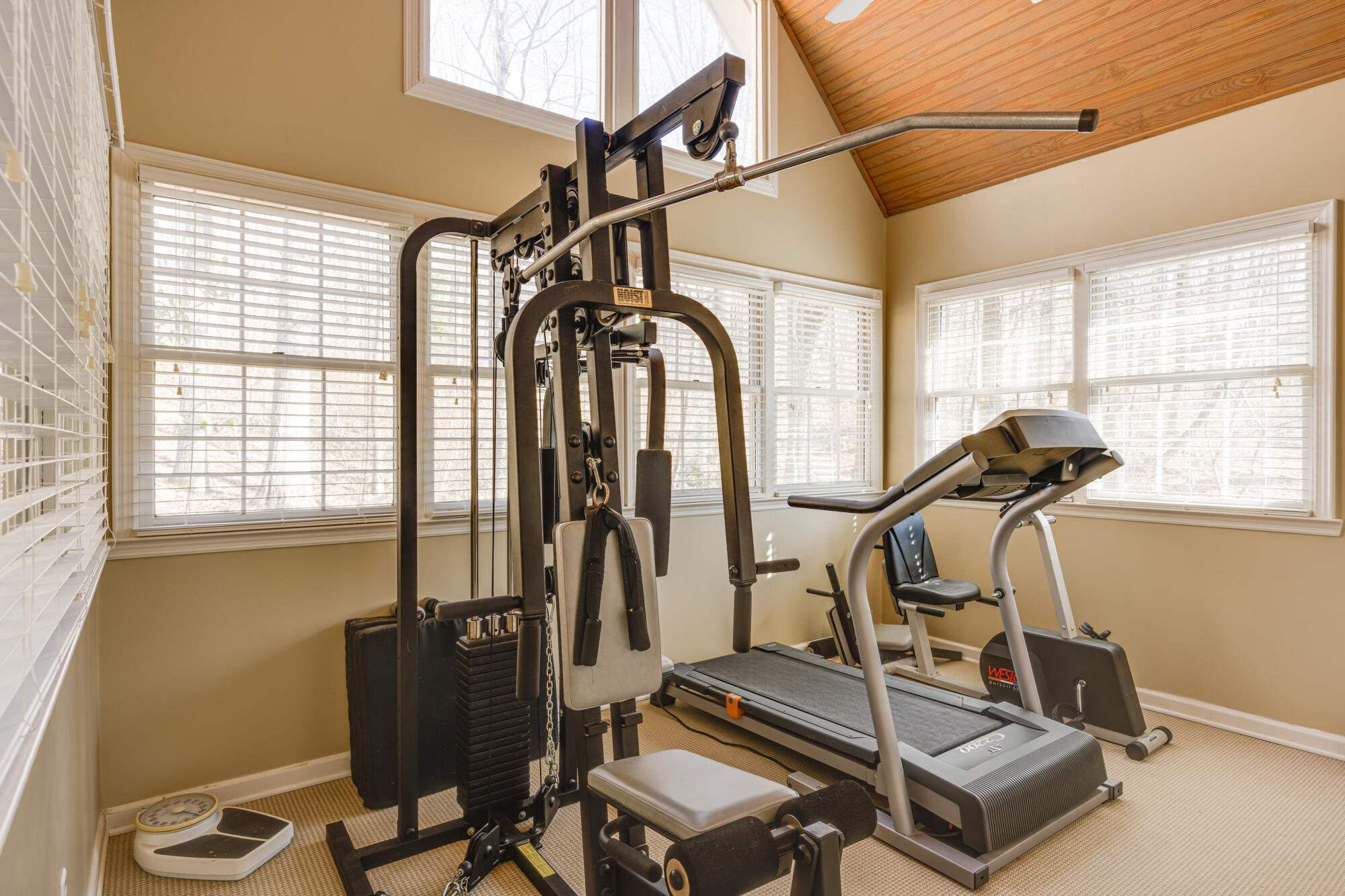 4 Jane Cove Road Signal Mountain, TN 37377 - Photo 39 of 63 Exercise Room