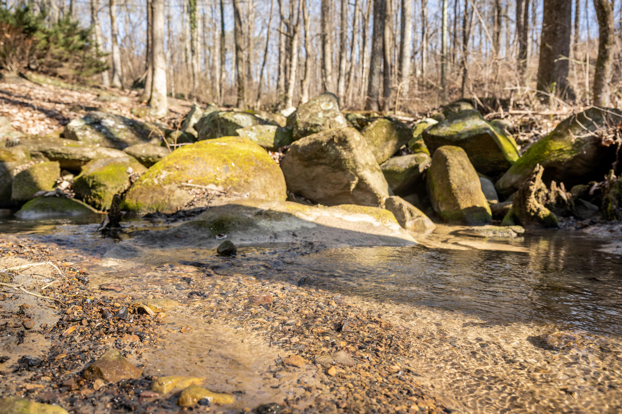 4 Jane Cove Road Signal Mountain, TN 37377 - Photo 7 of 63 Exterior Features