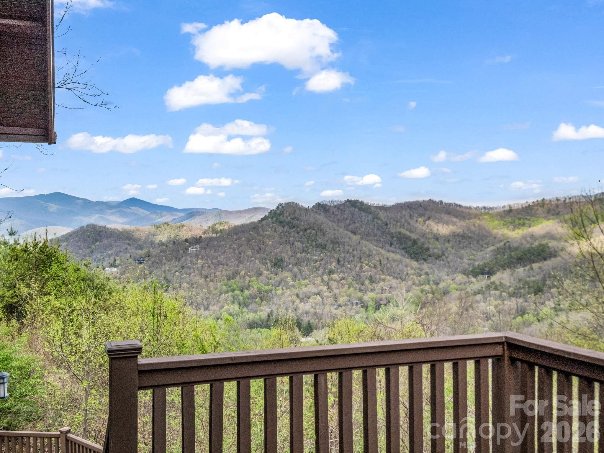 29 Crockett Ridge Road Black Mountain, NC 28711 - Photo 22 of 48