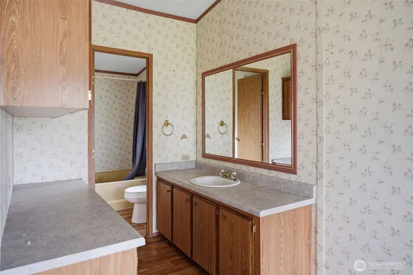 a bathroom with a sink a toilet and a mirror