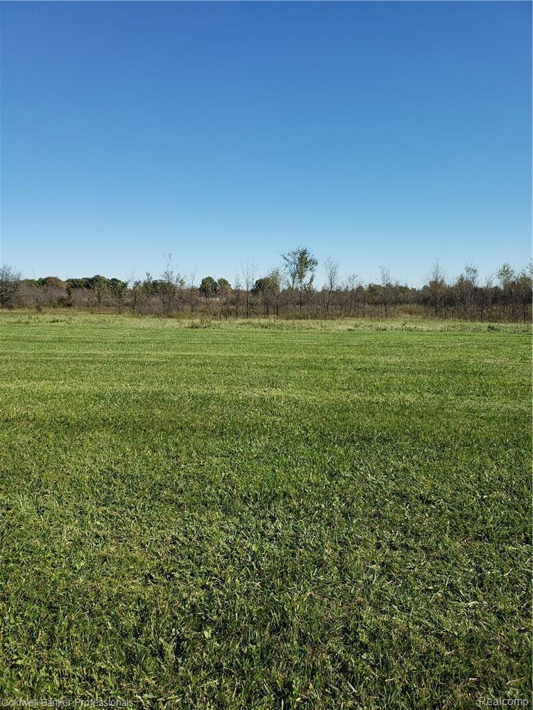 11336 Lambs Road Memphis, MI 48041 - Photo 15 of 49 20181018_125535.jpg